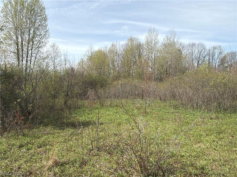 Oh-7, Williamsfield, OH 44082 Photo 17