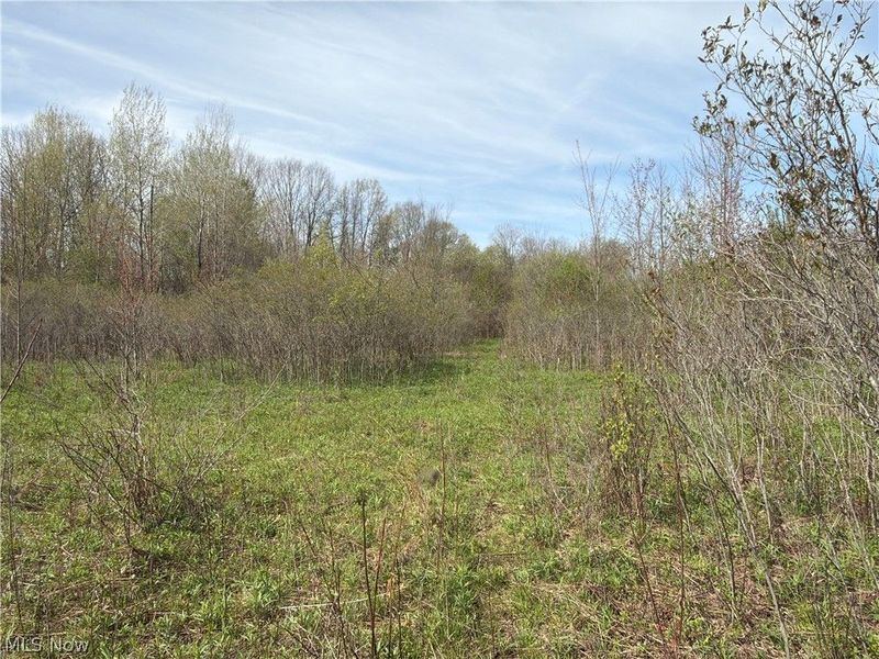 Oh-7, Williamsfield, OH 44082 Photo 18