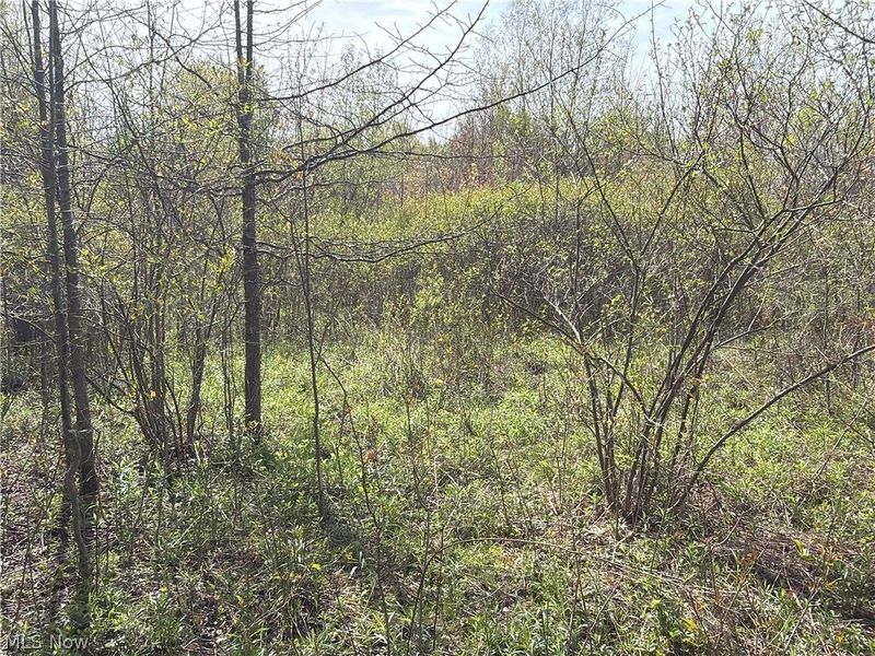 Oh-7, Williamsfield, OH 44082 Photo 19