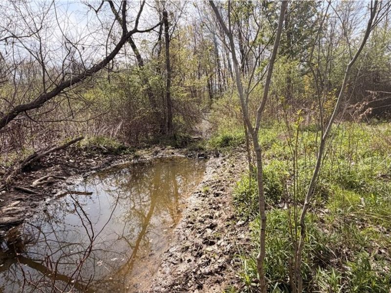Oh-7, Williamsfield, OH 44082 Photo 2