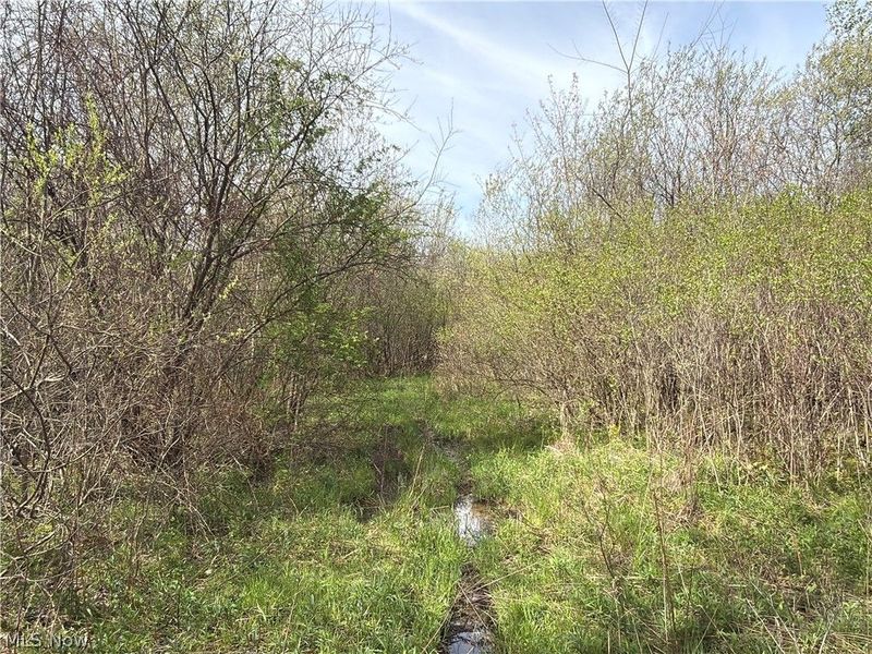 Oh-7, Williamsfield, OH 44082 Photo 21