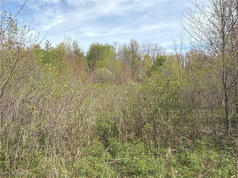 Oh-7, Williamsfield, OH 44082 Photo 22