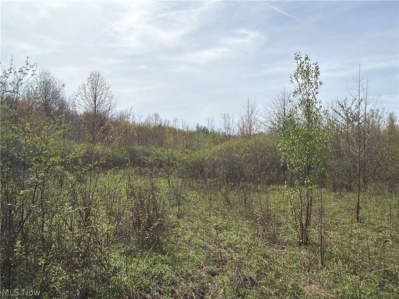 Oh-7, Williamsfield, OH 44082 Photo 23