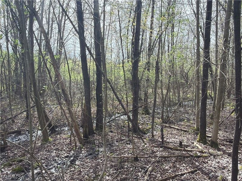 Oh-7, Williamsfield, OH 44082 Photo 24