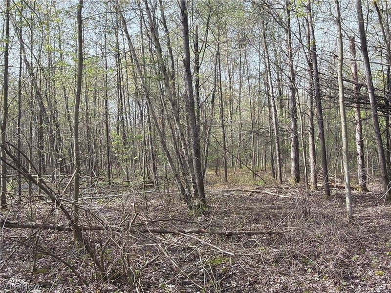 Oh-7, Williamsfield, OH 44082 Photo 25