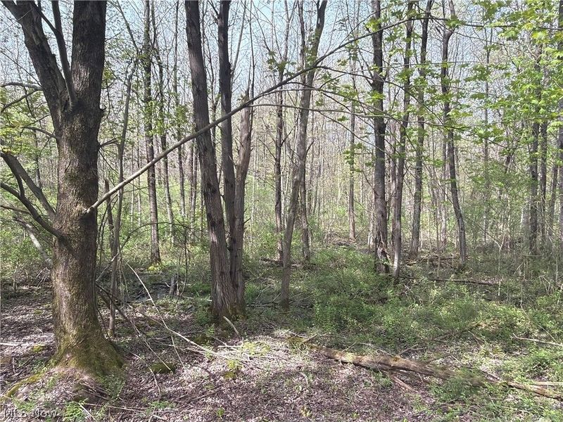 Oh-7, Williamsfield, OH 44082 Photo 26