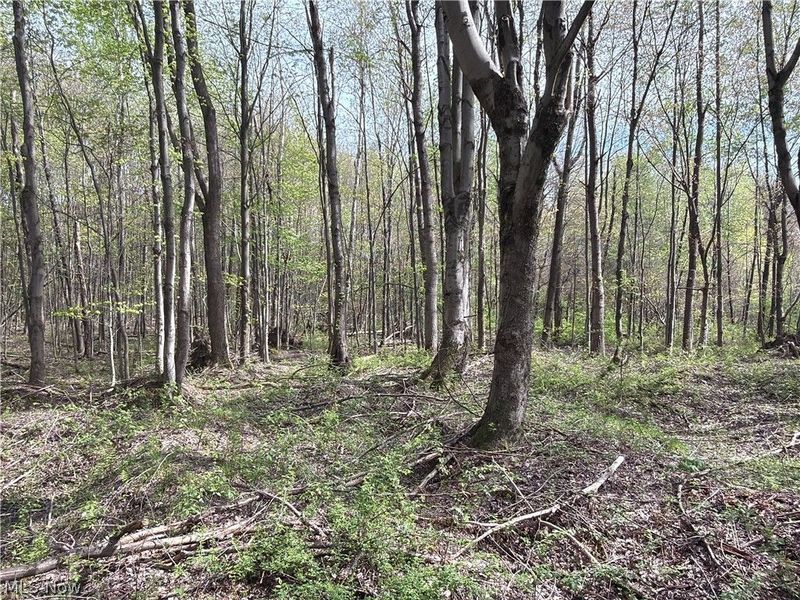 Oh-7, Williamsfield, OH 44082 Photo 27