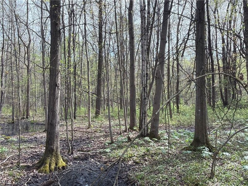 Oh-7, Williamsfield, OH 44082 Photo 28