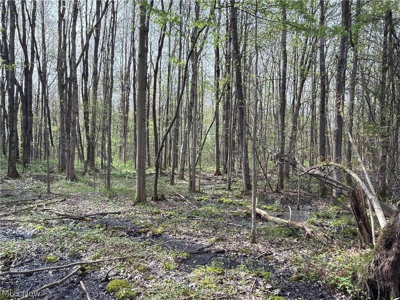 Oh-7, Williamsfield, OH 44082 Photo 30