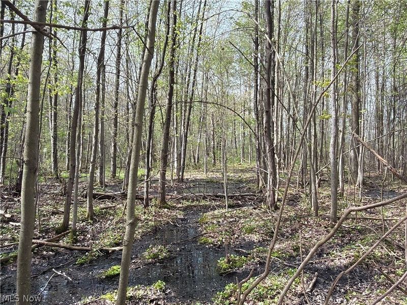 Oh-7, Williamsfield, OH 44082 Photo 31