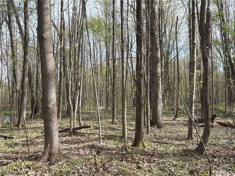 Oh-7, Williamsfield, OH 44082 Photo 32