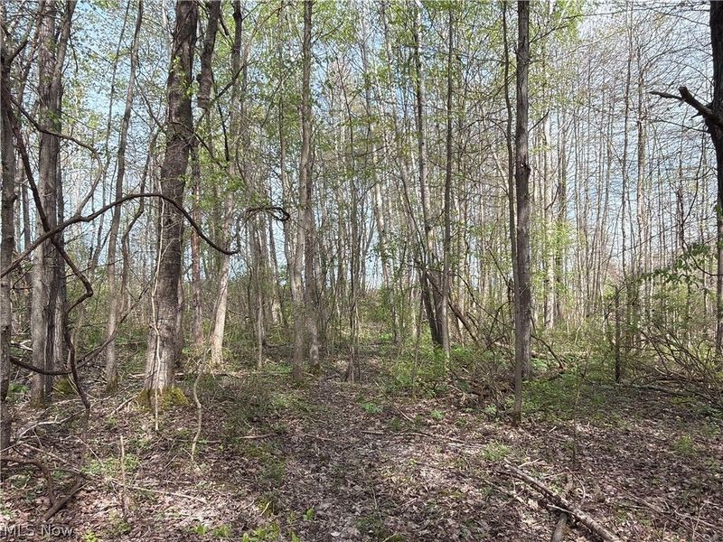 Oh-7, Williamsfield, OH 44082 Photo 33
