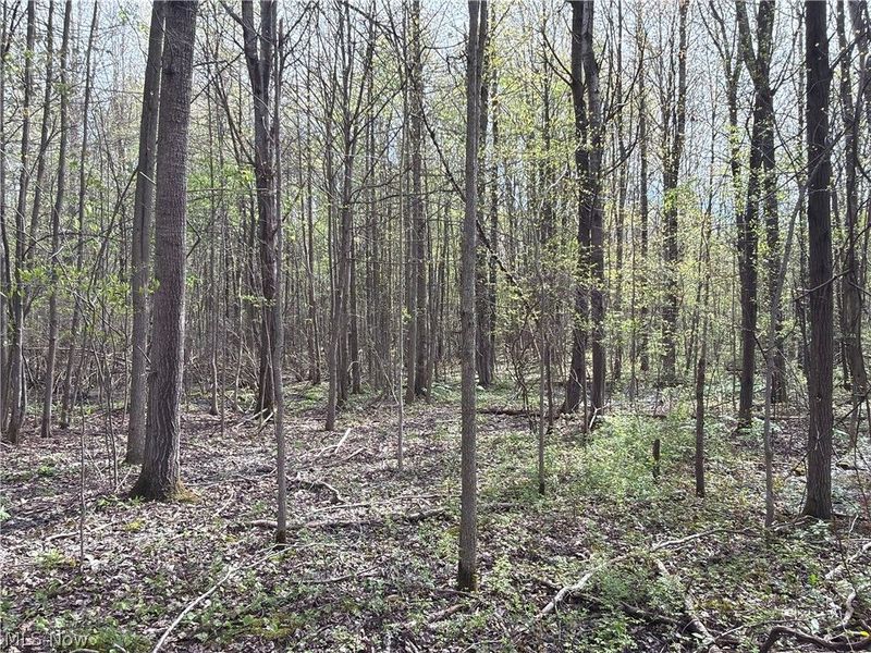 Oh-7, Williamsfield, OH 44082 Photo 34