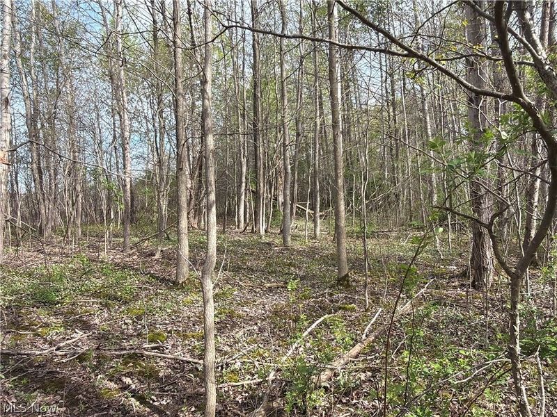 Oh-7, Williamsfield, OH 44082 Photo 35