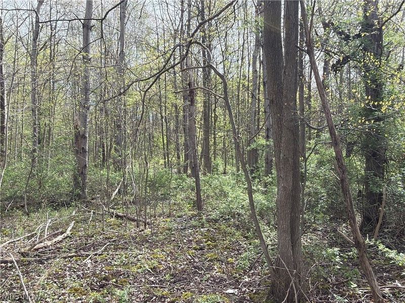 Oh-7, Williamsfield, OH 44082 Photo 36