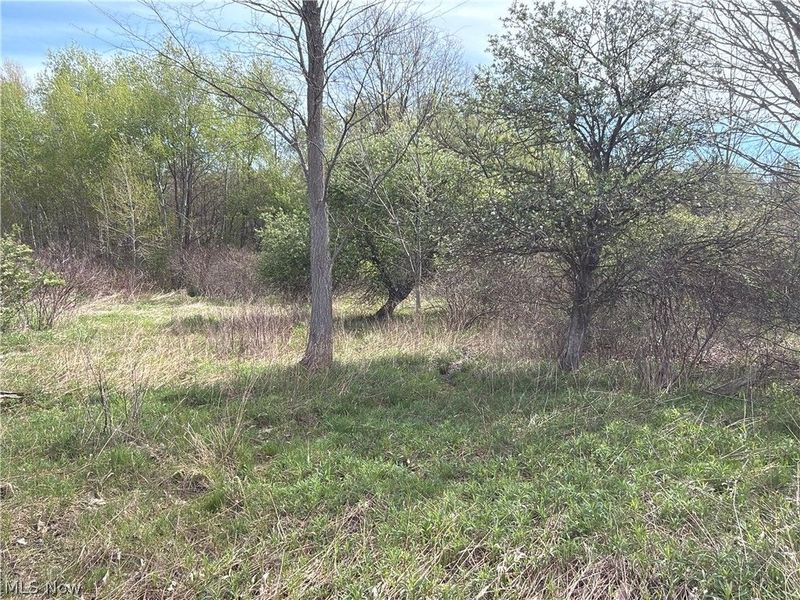 Oh-7, Williamsfield, OH 44082 Photo 37