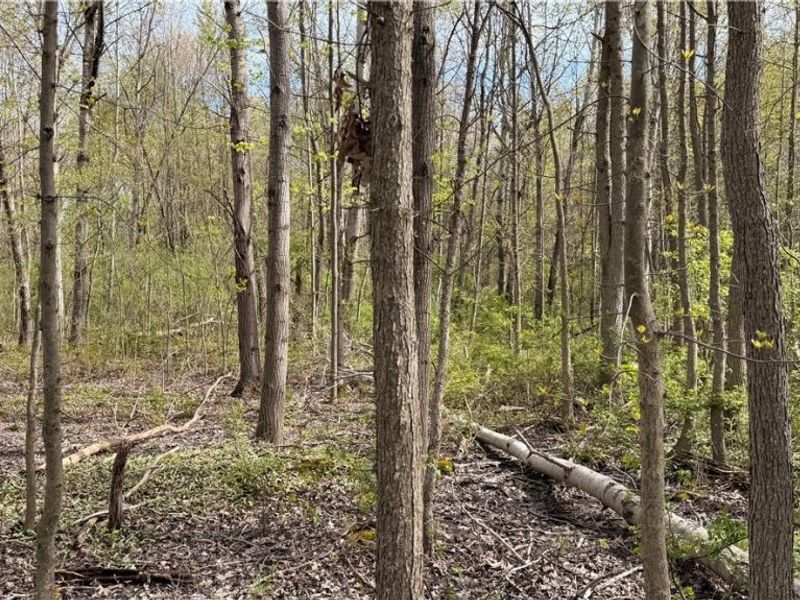 Oh-7, Williamsfield, OH 44082 Photo 5
