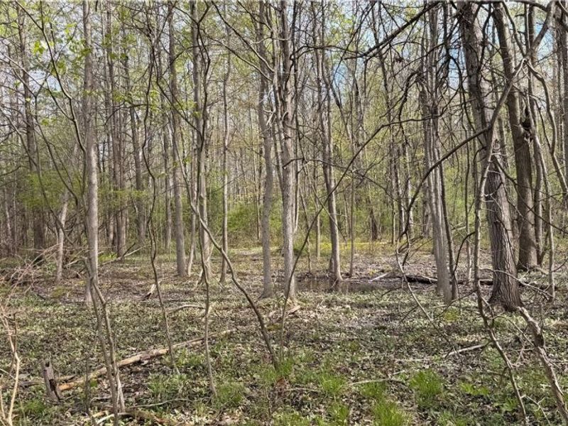 Oh-7, Williamsfield, OH 44082 Photo 7