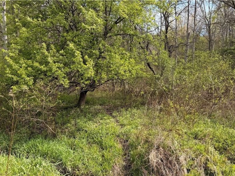 Oh-7, Williamsfield, OH 44082 Photo 8