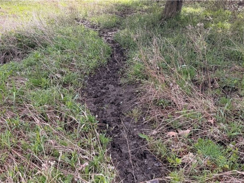 Oh-7, Williamsfield, OH 44082 Photo 9