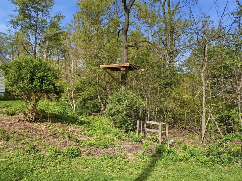 4339 Township Road 99, Mount Gilead, OH 43338 Photo 71