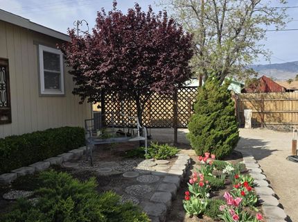 359 E Street, Hawthorne, NV 89415 Photo