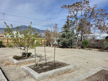 359 E Street, Hawthorne, NV 89415 Photo