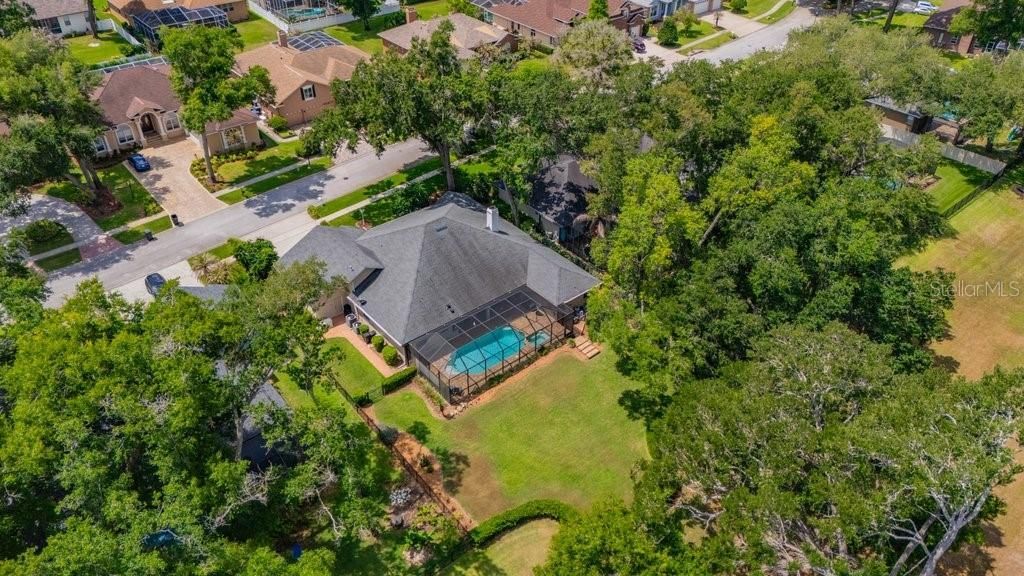 2221 Valrico Forest Drive, Valrico, FL 33594 Photo