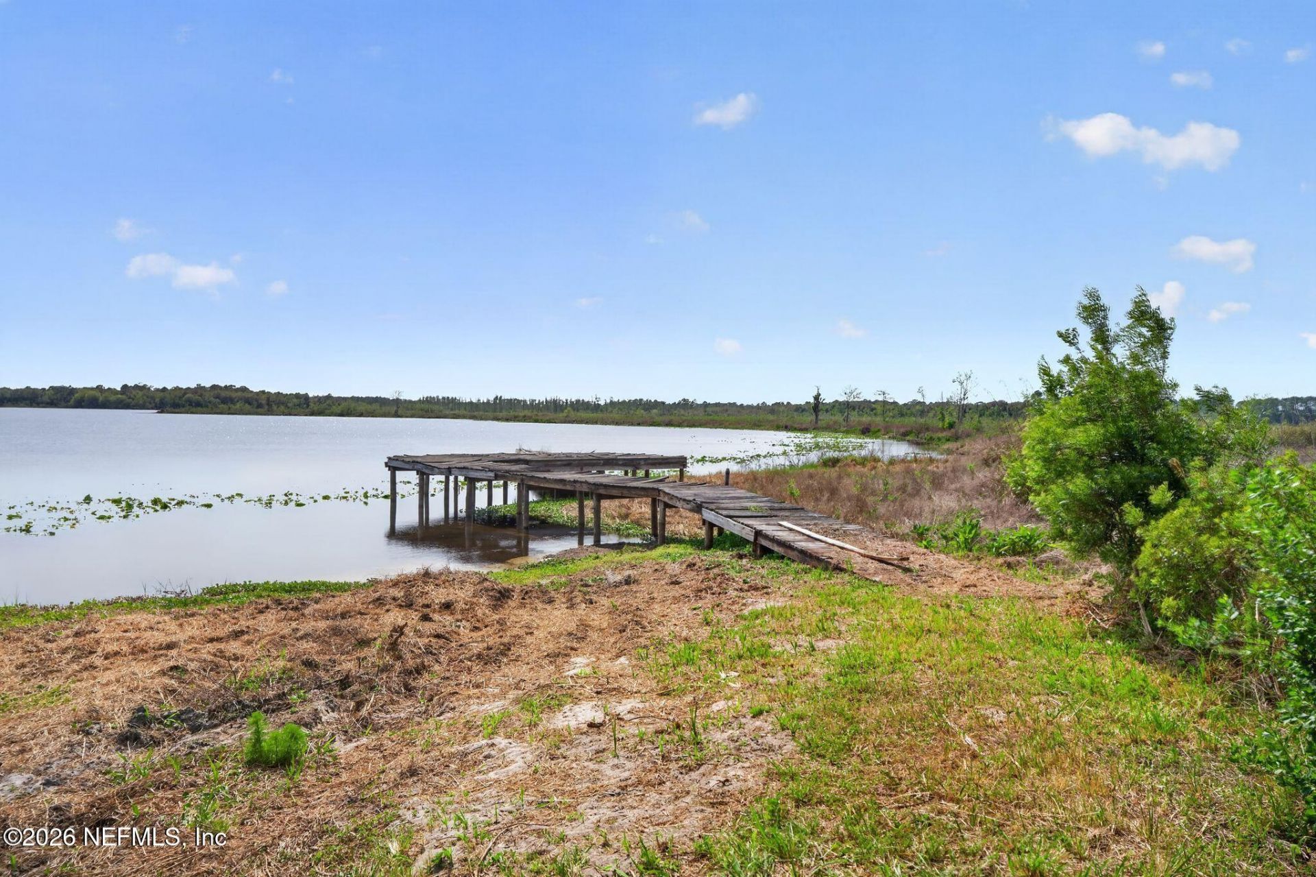 130 Bull Pond Lane, Hawthorne, FL 32640 Photo