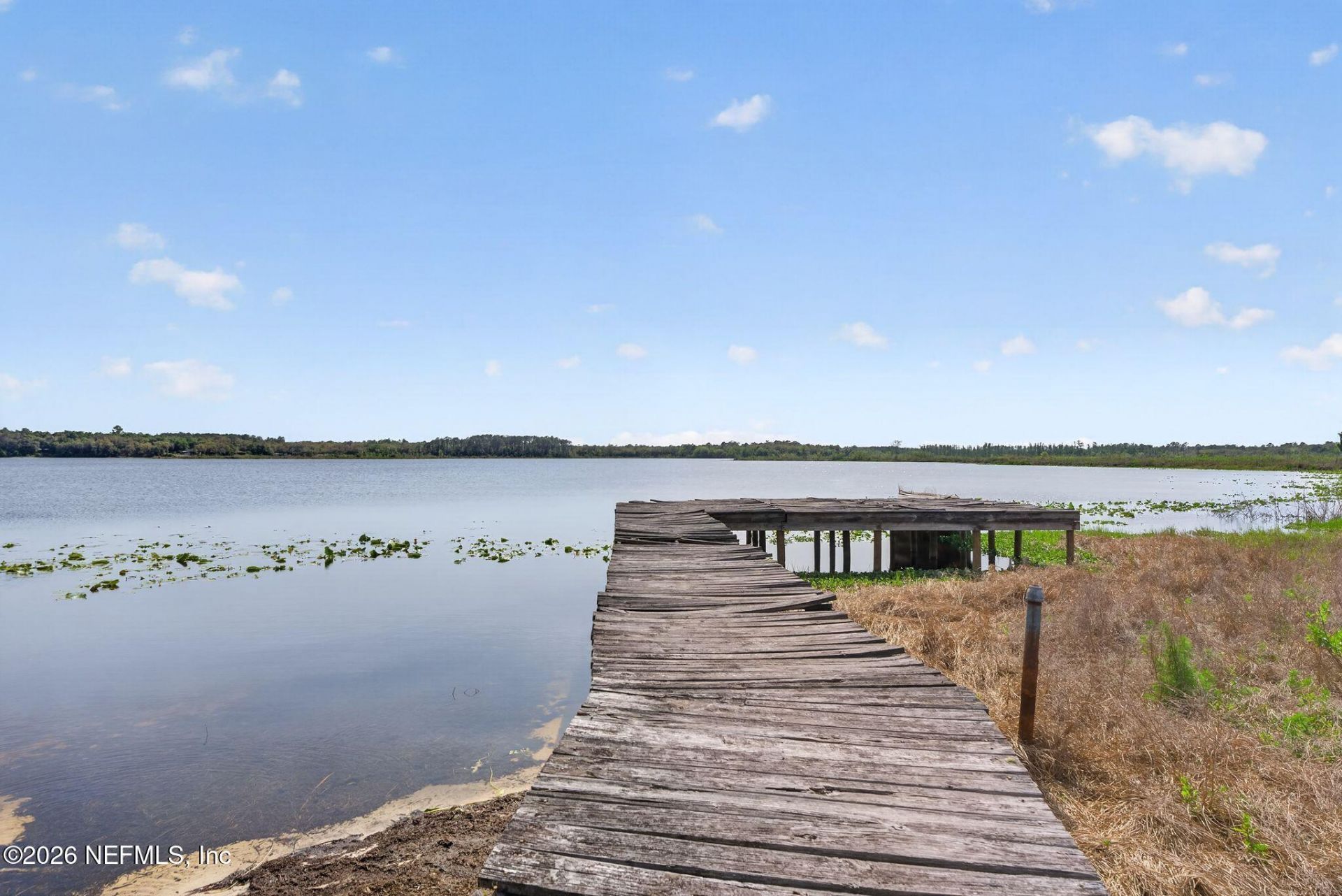 130 Bull Pond Lane, Hawthorne, FL 32640 Photo