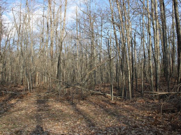 Parcel 1 Hardy Grade Road, Fairview, MI 48621