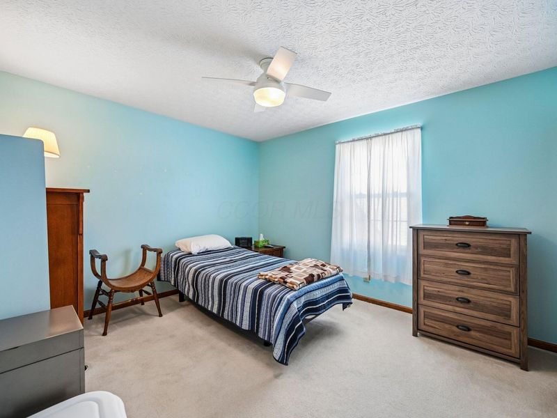 3647 Seattle Slew Drive, Columbus, OH 43221 Photo 14