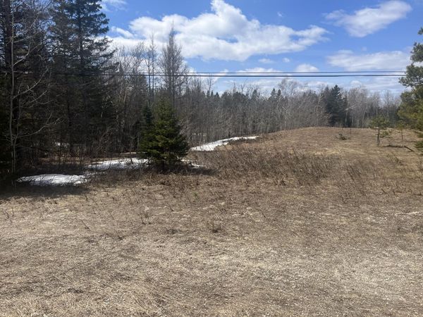 0 S M129, Pickford, MI 49774