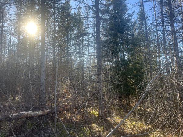 0 S M129, Pickford, MI 49774