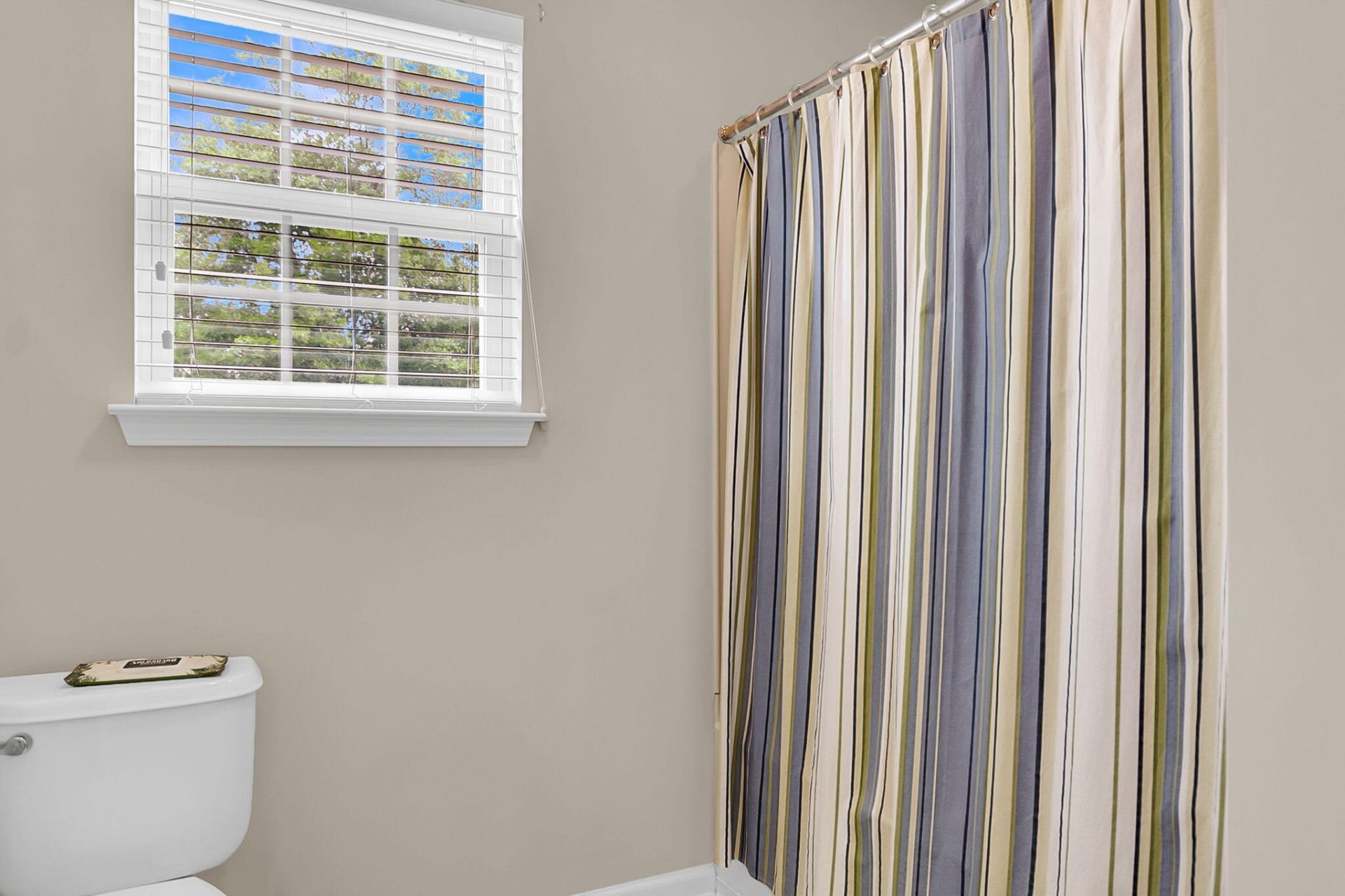 210 Sabal Palmetto Court Photo 45