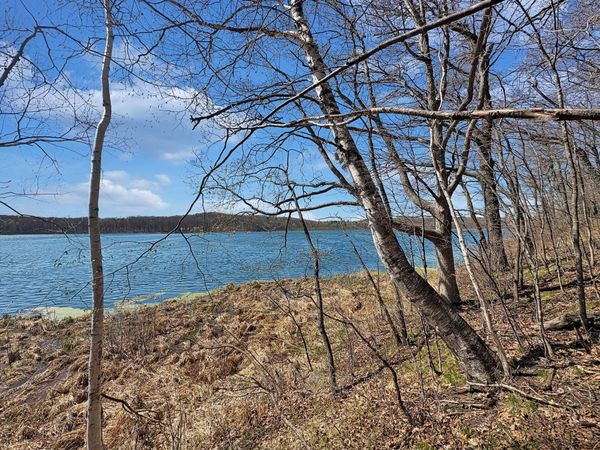 TBD 85th Street , Frederic, WI 54837