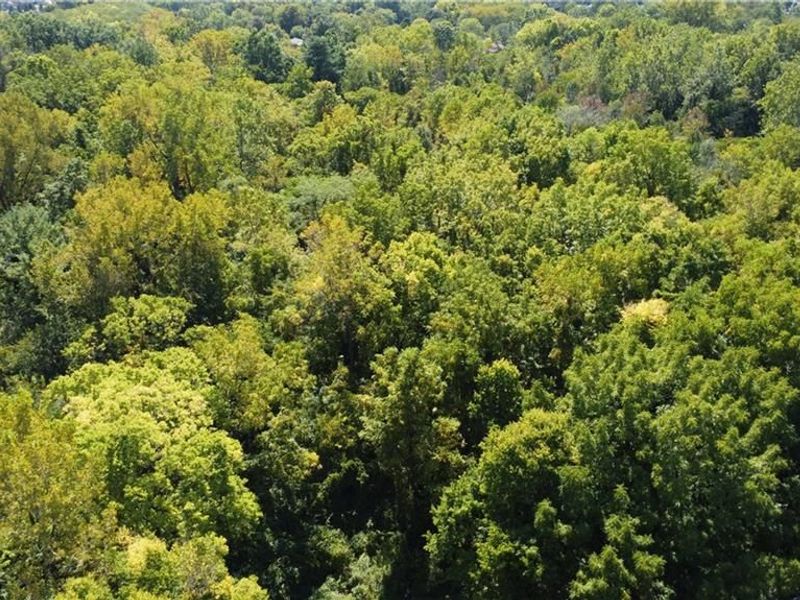 000 Rainbrook Way, Dayton, OH 45424 Photo 4