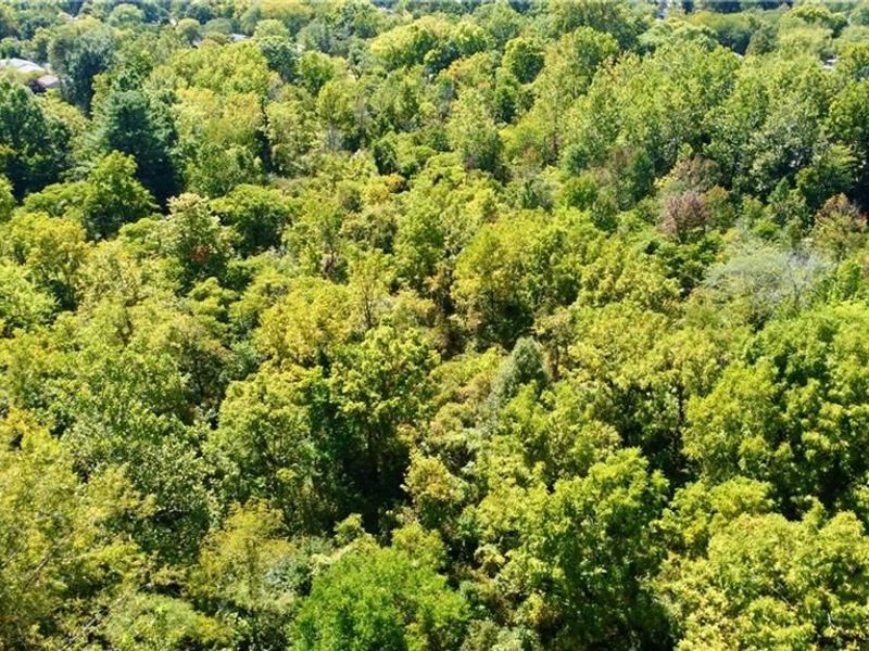 000 Rainbrook Way, Dayton, OH 45424 Photo 5