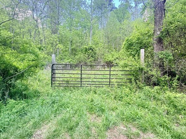 Powell Mountain Rd, Peterstown, WV 24963