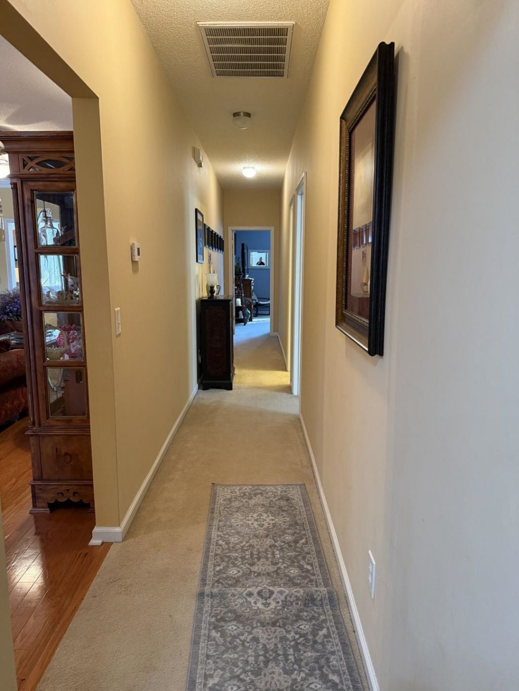 788 Lalton Dr. Photo 37
