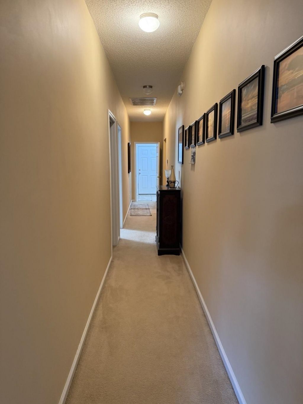 788 Lalton Dr. Photo 44