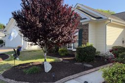 788 Lalton Dr. photo 4