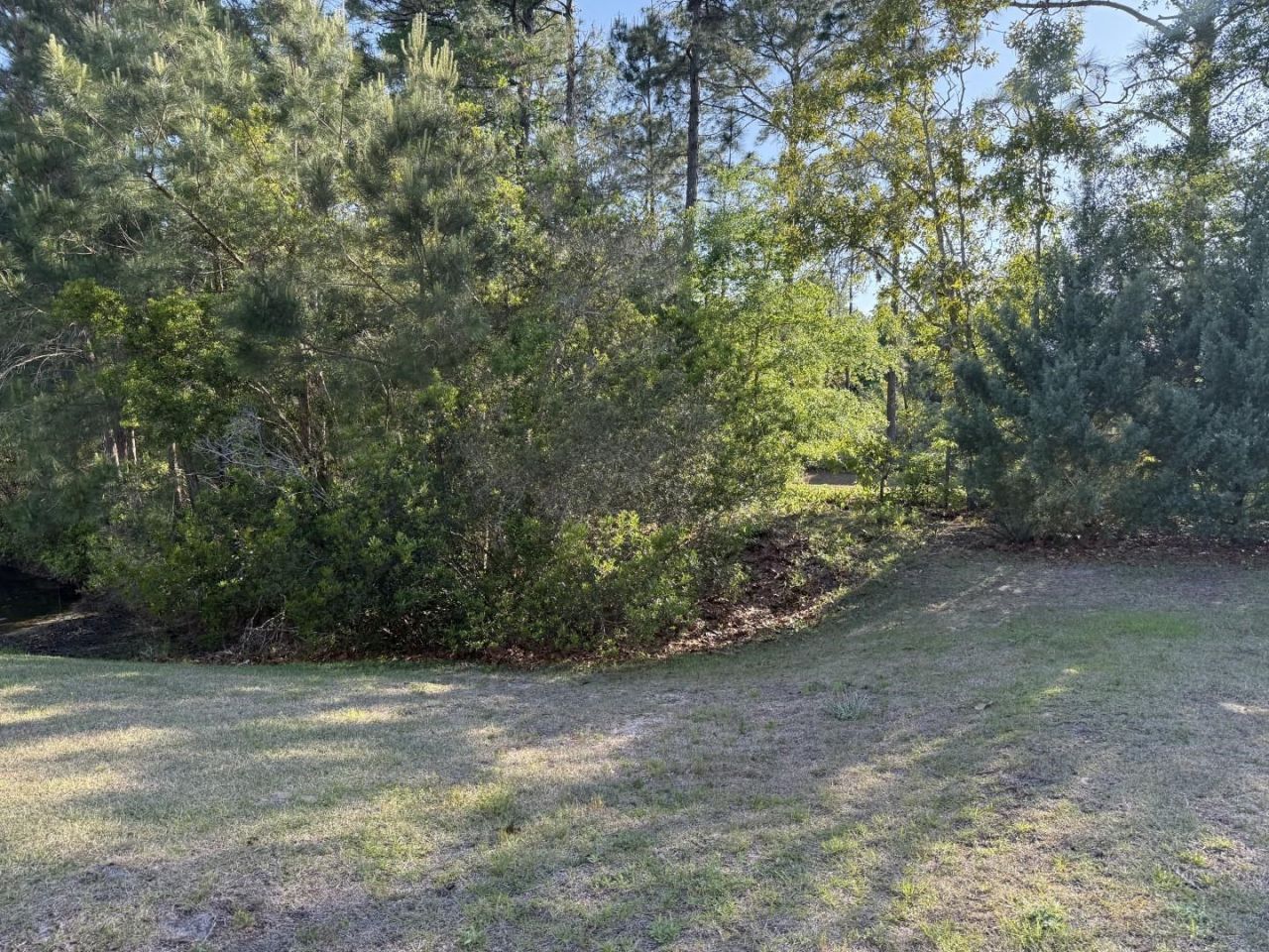 788 Lalton Dr. Photo 63