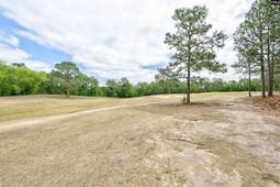 25 Baldur Court  photo 4