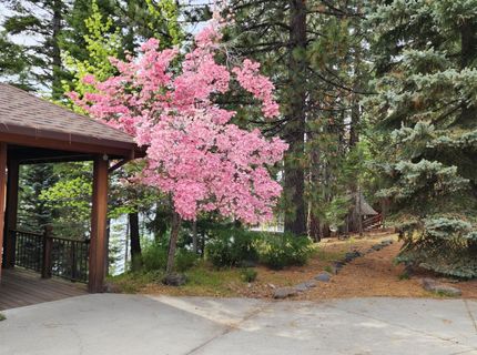 1285 Lassen View Drive, Lake Almanor, CA 96137 Photo
