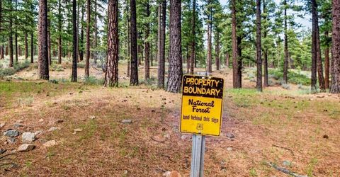 805 Joy Lake Road, Reno, NV 89511 Photo