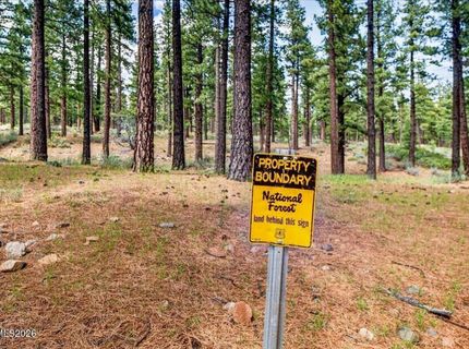 805 Joy Lake Road, Reno, NV 89511 Photo