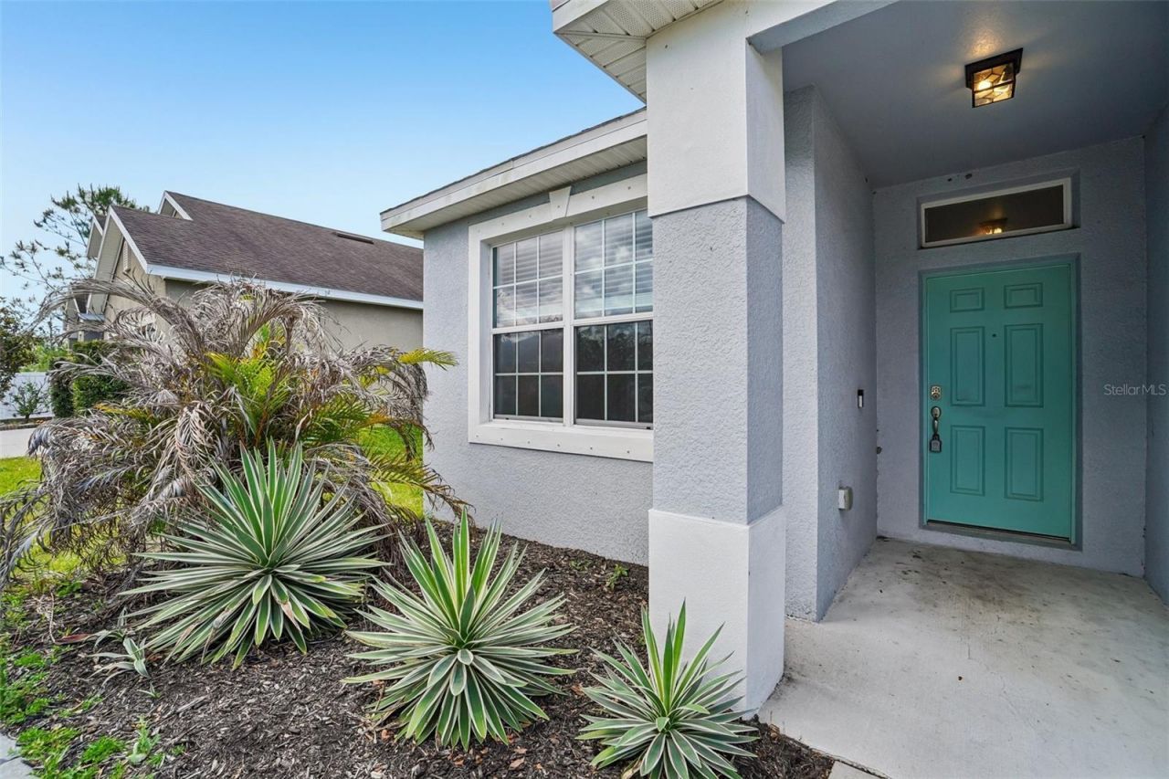 14310 Alistar Manor Drive , Wimauma, FL 33598 Photo