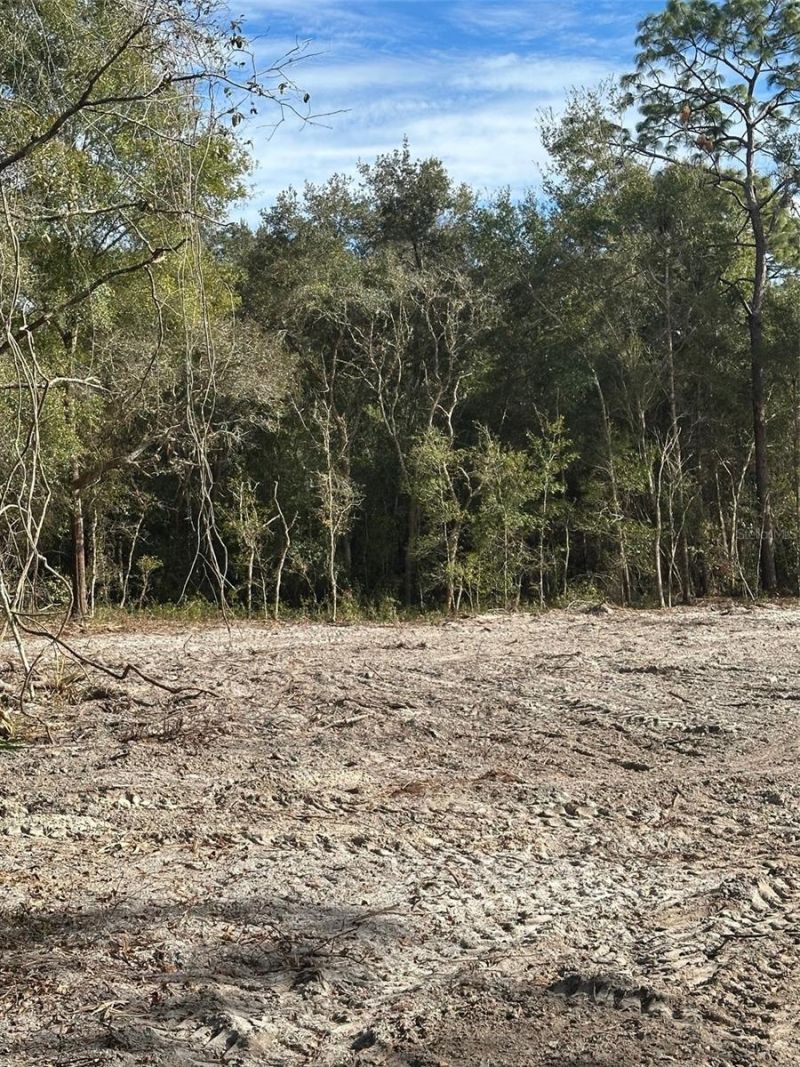 Berryhill Drive , Webster, FL 33597 Photo
