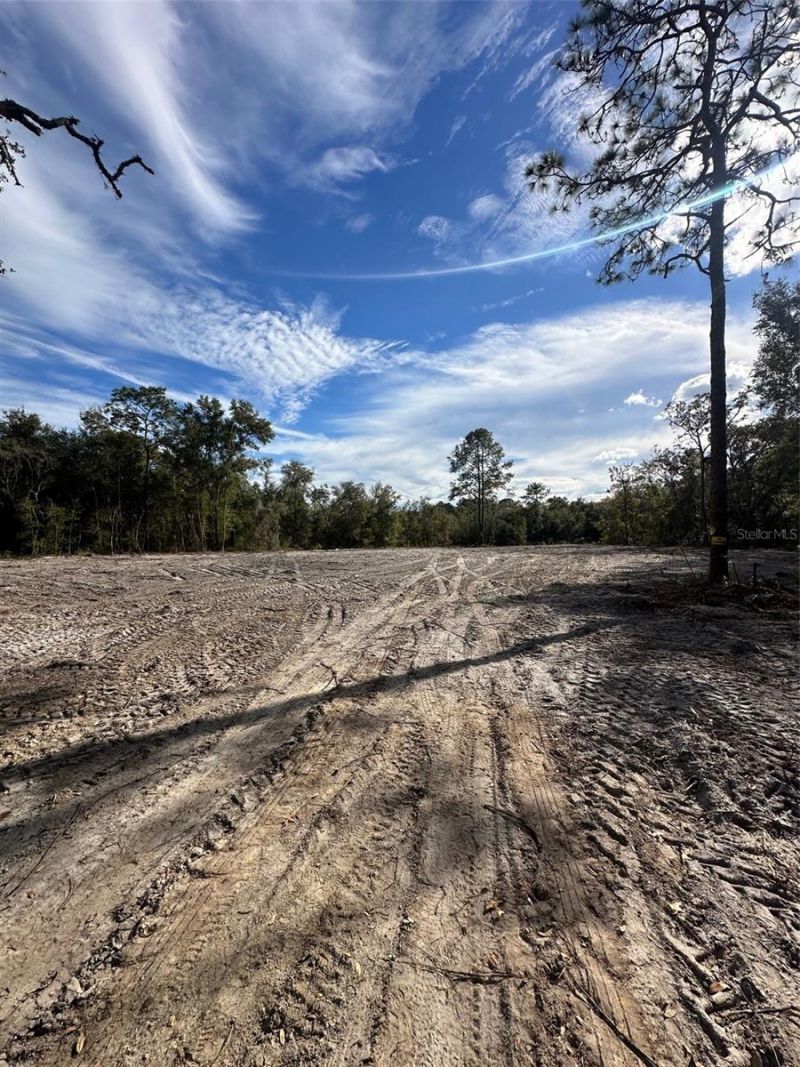 Berryhill Drive , Webster, FL 33597 Photo
